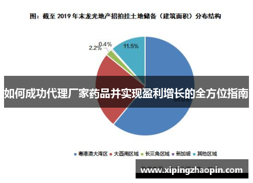 如何成功代理厂家药品并实现盈利增长的全方位指南